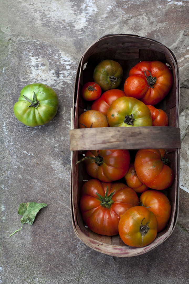 Blog for Food Focus: Tomatoes