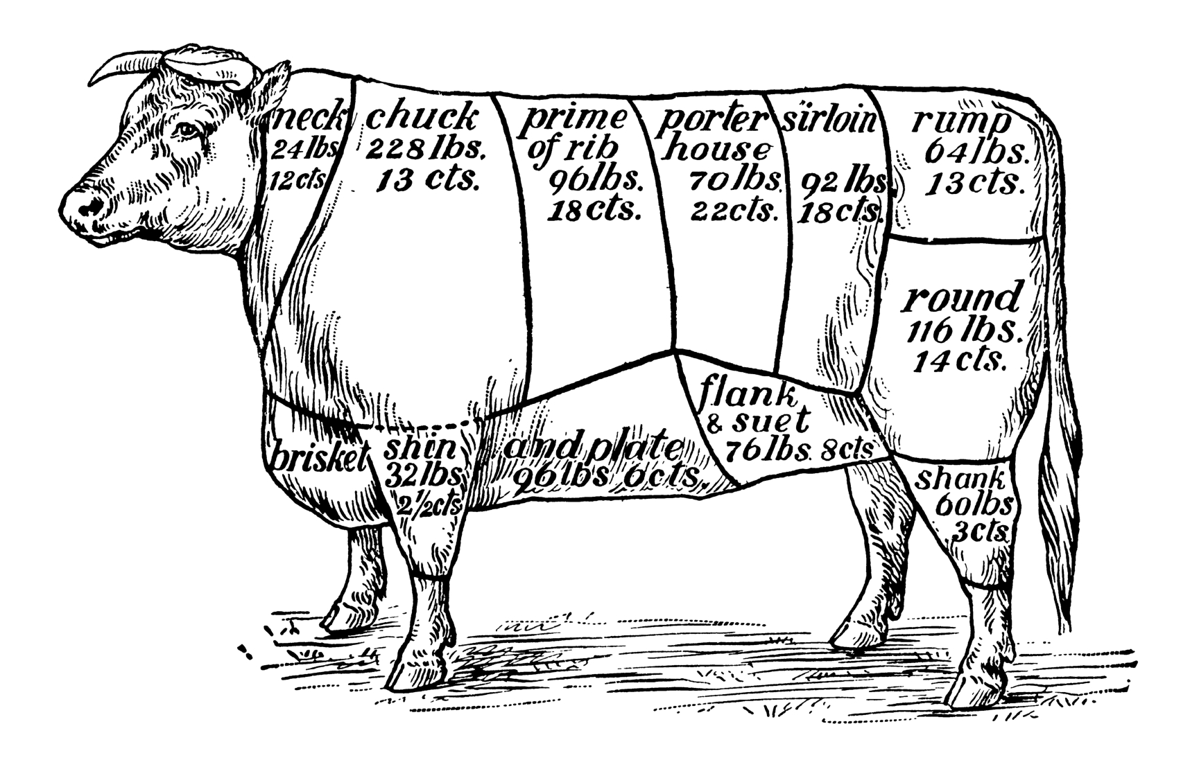 Blog for Understanding Cuts of Beef