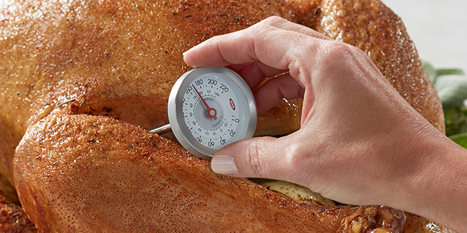 How to take a turkey’s temperature